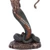 Medusa's Wrath (Medium) 15.5cm Mythology Mythologie