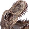 Tyrannosaurus Rex Dish 24cm Dinosaurs NEMESIS NOW | EASTER SALE