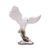 Snowfall 18cm Owls NEMESIS NOW | EASTER SALE