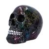 Electro 17.5cm Skulls Stock Release Summer 2025