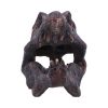 Spinosaurus Skull 16cm Dinosaurs Father's Day
