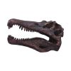 Spinosaurus Skull 16cm Dinosaurs Father's Day