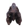 Spinosaurus Skull 16cm Dinosaurs Father's Day