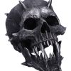 Iron Fang Skulls Gifts Under £100