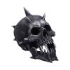 Iron Fang Skulls Gifts Under £100