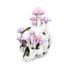 Sporebound Skulls Gifts Under £100