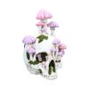 Sporebound Skulls Gifts Under £100