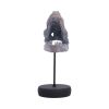 Tyrannosaurus Rex Skull on Plinth Dinosaurs Father's Day