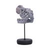 Tyrannosaurus Rex Skull on Plinth Dinosaurs Father's Day