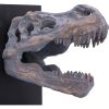 Tyrannosaurus Rex Skull Bookends Dinosaurs Father's Day