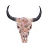 Ocean Crown Animal Skulls Stock Arrivals