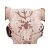 Spirit of the South Animal Skulls Father's Day