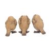 Three Wise Robins 8cm Animals Best Sellers