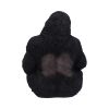 Gone Wild 15.5cm Apes & Primates Gifts Under £100