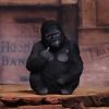 Gone Wild 15.5cm Apes & Primates Gifts Under £100