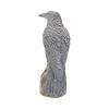 Ravens Rest 16cm Ravens Gifts Under £100