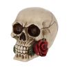 Rose From the Dead 15cm Skulls Statues Medium (15cm to 30cm)