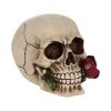 Rose From the Dead 15cm Skulls Statues Medium (15cm to 30cm)