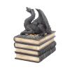 Secrets Of The Dragon 19cm Dragons Year Of The Dragon