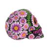 Sugar Petal Skull 14.5cm Skulls Top 200 None Licensed