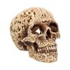 Celtic Decadence 18.5cm Skulls Gifts Under £100