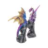 Realm Protectors (Set of 2) 15cm Dragons Top 200
