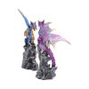 Realm Protectors (Set of 2) 15cm Dragons Top 200