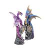 Realm Protectors (Set of 2) 15cm Dragons Top 200