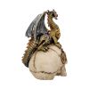 Dragon's Grasp 18.5cm Dragons Figurines de dragons