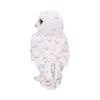 Snowy Watch Small 13.3cm Owls Gifts Under £100
