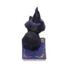 Pocus 12.7cm Cats Stock Arrivals