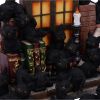 The Witches Litter 24.8cm (Display of 36) Cats Flash Sale Day 4