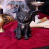 Vampuss 16cm Cats Halloween RRP Below 20