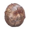 Scrapped 19cm Skulls Gifts Under £100