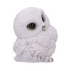 Feathers 12.5cm Owls Gifts Under £100