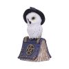 Avian Spell (Blue) 12.5cm Owls Halloween Party