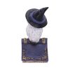Avian Spell (Blue) 12.5cm Owls Halloween Party