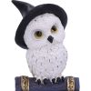 Avian Spell (Blue) 12.5cm Owls Halloween Party