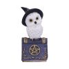 Avian Spell (Blue) 12.5cm Owls Halloween Party