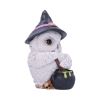 Owl Potion 17.5cm Owls Articles en Vente
