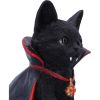 Count Catula 15.5cm Cats Halloween RRP Below 20