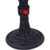 Dark Fang Goblet 18.5cm Bats Halloween Party