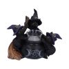 Familiar Cauldron 12.5cm Cats NEMESIS NOW | EASTER SALE