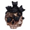 Cranial Litter 14cm Cats Halloween Highlights