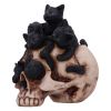 Cranial Litter 14cm Cats Halloween Highlights