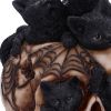Cranial Litter 14cm Cats Halloween Highlights