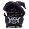 Peek-a-brew 14.5cm Cats Articles en Vente