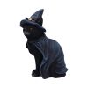 Bewitching 18.5cm Cats Halloween RRP Below 20