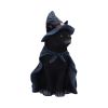Bewitching 18.5cm Cats Halloween RRP Below 20
