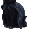 Bewitching 18.5cm Cats Halloween RRP Below 20